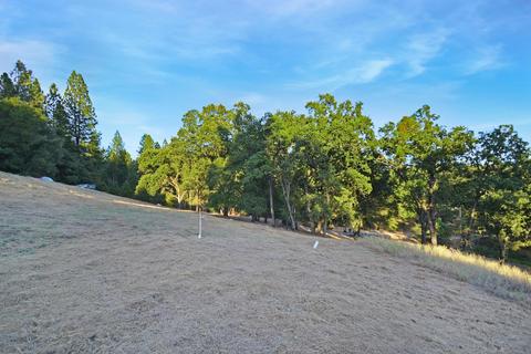 20331 Bertone Rd, Fiddletown, CA 95629 photo 74