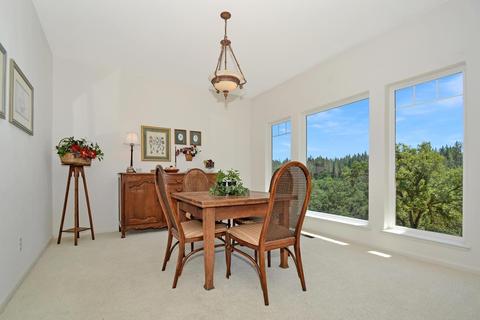 20331 Bertone Rd, Fiddletown, CA 95629 photo 38