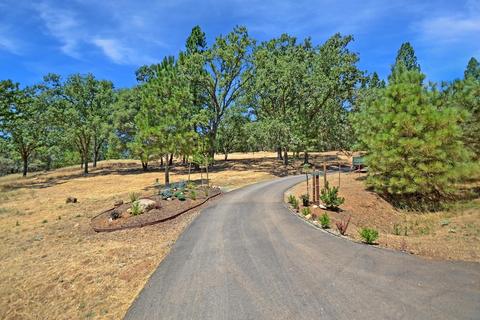 20331 Bertone Rd, Fiddletown, CA 95629 photo 4