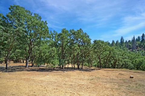 20331 Bertone Rd, Fiddletown, CA 95629 photo 8