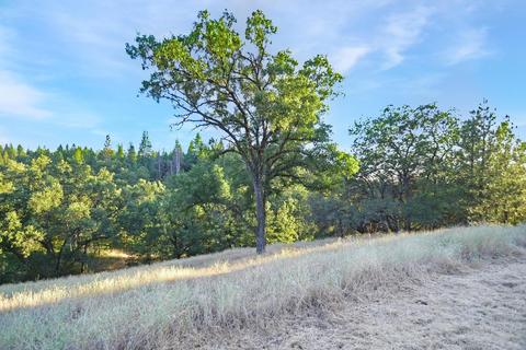 20331 Bertone Rd, Fiddletown, CA 95629 photo 76