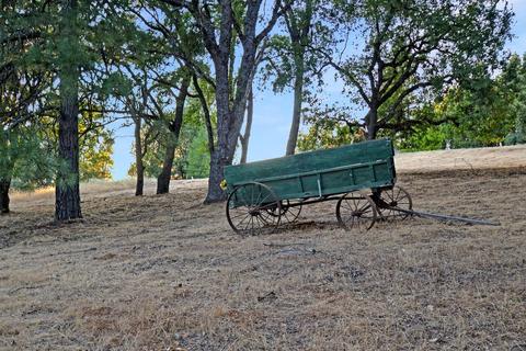 20331 Bertone Rd, Fiddletown, CA 95629 photo 81