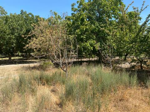 100 S Daubenberger Rd, Turlock, CA 95380 photo 23