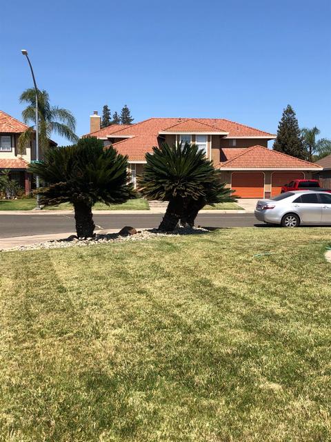 1012 Payne Ave, Modesto, CA 95351 photo 13