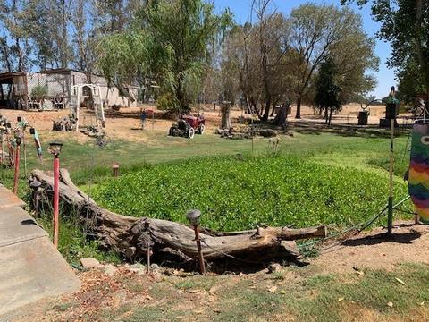 6247 E Jahant Rd, Acampo, CA 95220 photo 3