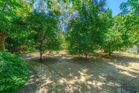1140 Los Robles St, Davis, CA 95618 photo 42