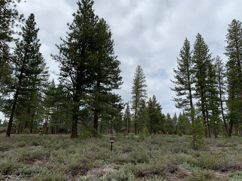 12338 Caleb Dr, Truckee, CA 96161 photo 1