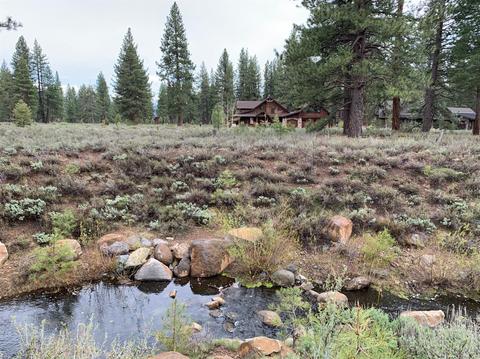 12338 Caleb Dr, Truckee, CA 96161 photo 3