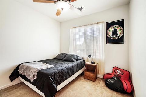 604 Ivy Loop, Winters, CA 95694 photo 31