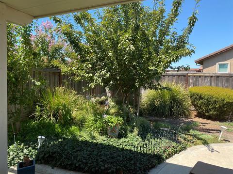 1817 Thomas Taylor Dr, Hughson, CA 95326 photo 37