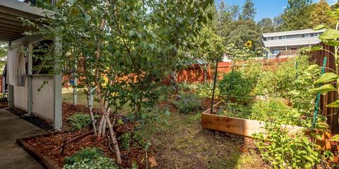 55 Pounds Ct, Colfax, CA 95713 photo 3