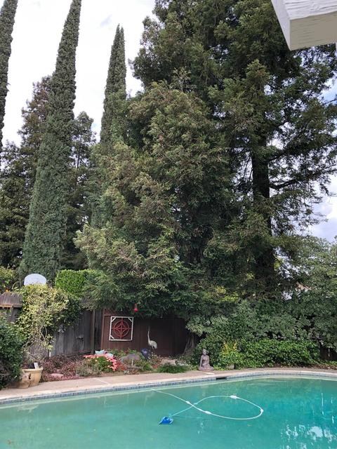 3913 Trillium Ave, Modesto, CA 95356 photo 32