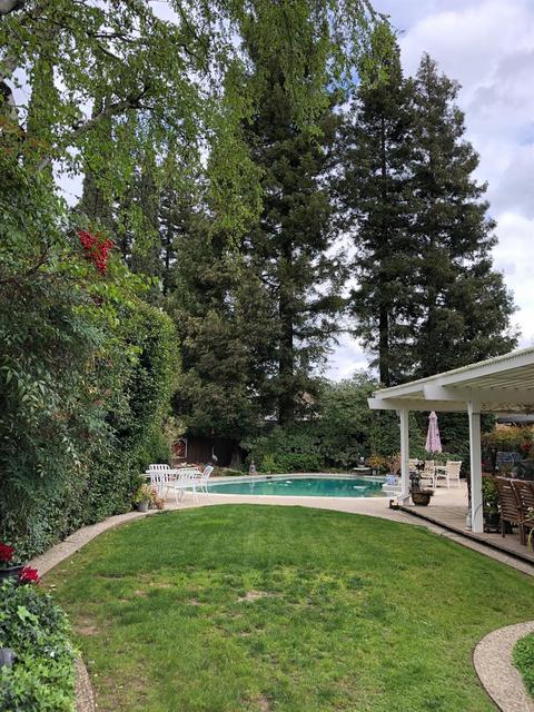 3913 Trillium Ave, Modesto, CA 95356 photo 46