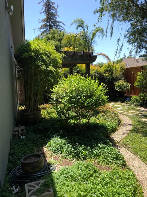 3913 Trillium Ave, Modesto, CA 95356 photo 31