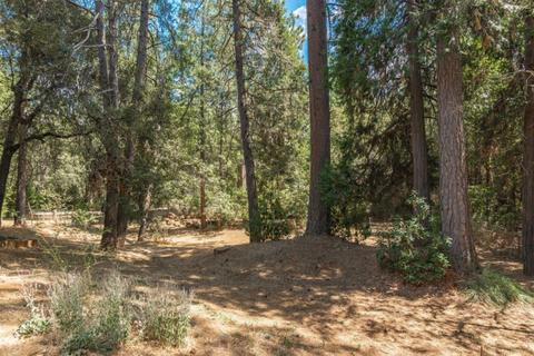 13193 Tabeaud Rd, Pine Grove, CA 95665 photo 25