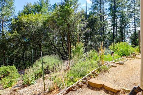 22801 Pine Hollow Rd, Colfax, CA 95713 photo 24