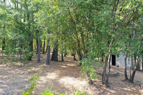 22801 Pine Hollow Rd, Colfax, CA 95713 photo 44