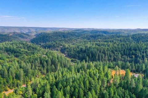 22801 Pine Hollow Rd, Colfax, CA 95713 photo 30