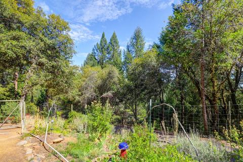 22801 Pine Hollow Rd, Colfax, CA 95713 photo 23