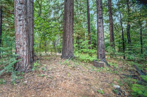 34327 E Towle Rd, Alta, CA 95701 photo 23