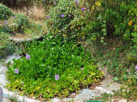 1640 4th Ave, Olivehurst, CA 95961 photo 14