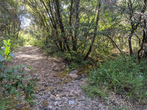 17966 Hale Rd, Volcano, CA 95689 photo 16