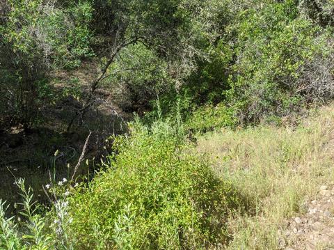 17966 Hale Rd, Volcano, CA 95689 photo 14