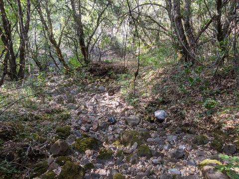 17966 Hale Rd, Volcano, CA 95689 photo 27