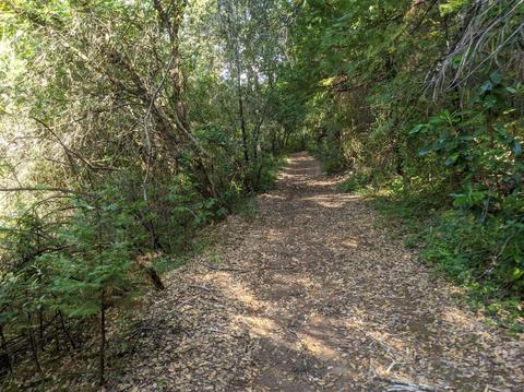 17966 Hale Rd, Volcano, CA 95689 photo 12