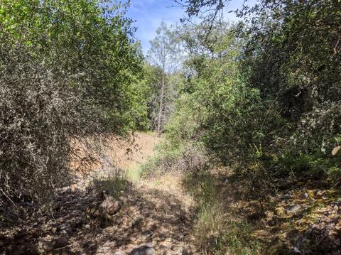 17966 Hale Rd, Volcano, CA 95689 photo 8