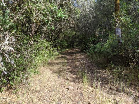 17966 Hale Rd, Volcano, CA 95689 photo 15