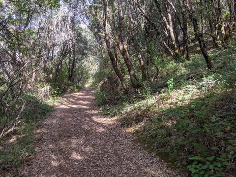 17966 Hale Rd, Volcano, CA 95689 photo 18