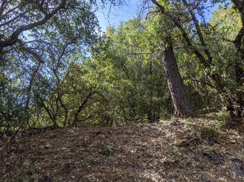 17966 Hale Rd, Volcano, CA 95689 photo 3