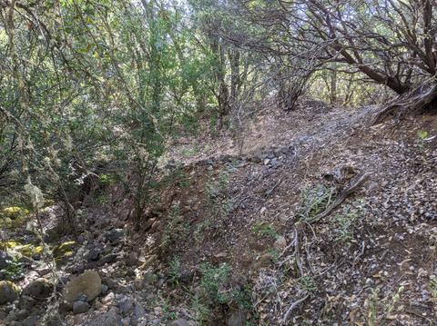 17966 Hale Rd, Volcano, CA 95689 photo 7