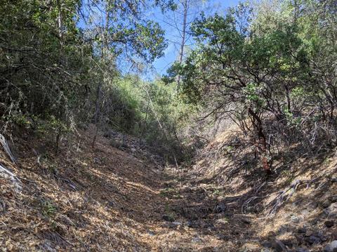 17966 Hale Rd, Volcano, CA 95689 photo 2