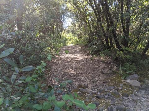 17966 Hale Rd, Volcano, CA 95689 photo 17