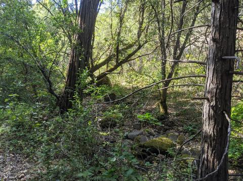 17966 Hale Rd, Volcano, CA 95689 photo 26