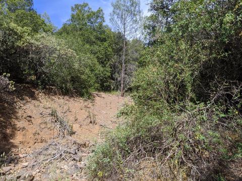 17966 Hale Rd, Volcano, CA 95689 photo 5
