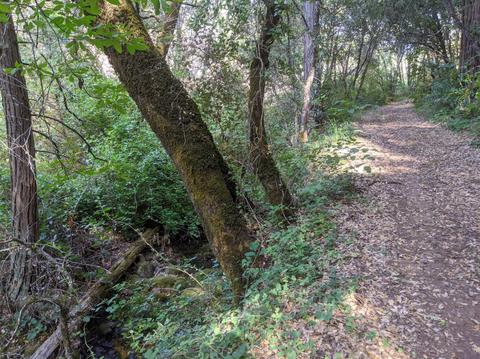 17966 Hale Rd, Volcano, CA 95689 photo 25