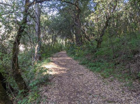 17966 Hale Rd, Volcano, CA 95689 photo 24