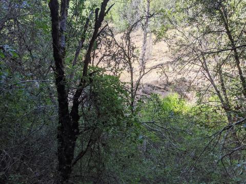 17966 Hale Rd, Volcano, CA 95689 photo 21