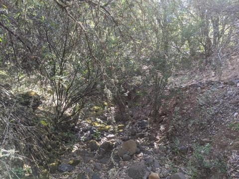17966 Hale Rd, Volcano, CA 95689 photo 6