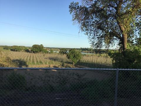 8200 Jantzen Rd #51, Modesto, CA 95357 photo 23