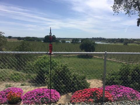 8200 Jantzen Rd #51, Modesto, CA 95357 photo 21