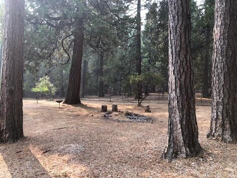 25775 Aspen Ct, Volcano, CA 95689 photo 38