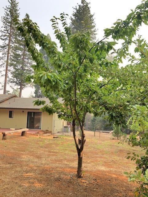 25775 Aspen Ct, Volcano, CA 95689 photo 48