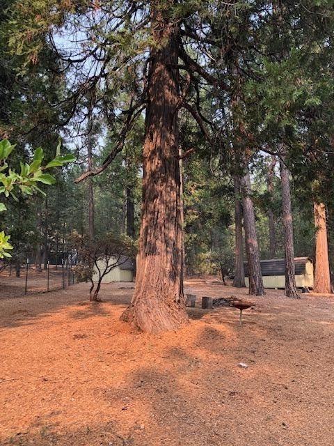 25775 Aspen Ct, Volcano, CA 95689 photo 37