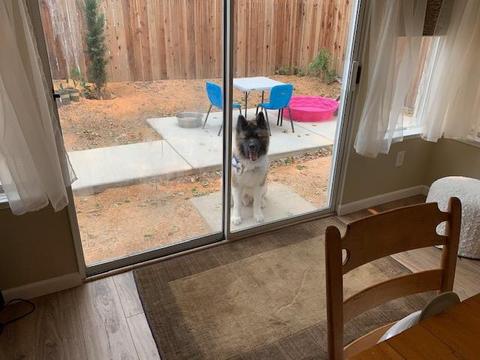 8450 Buford Ct, Antelope, CA 95843 photo 20
