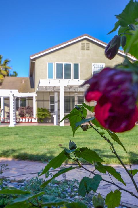 4209 Drakeshire Ct, Modesto, CA 95356 photo 33