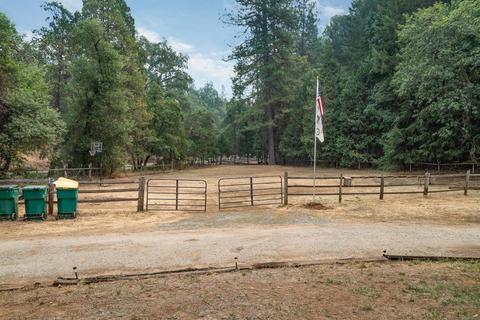 7281 Sly Park Rd, Placerville, CA 95667 photo 39